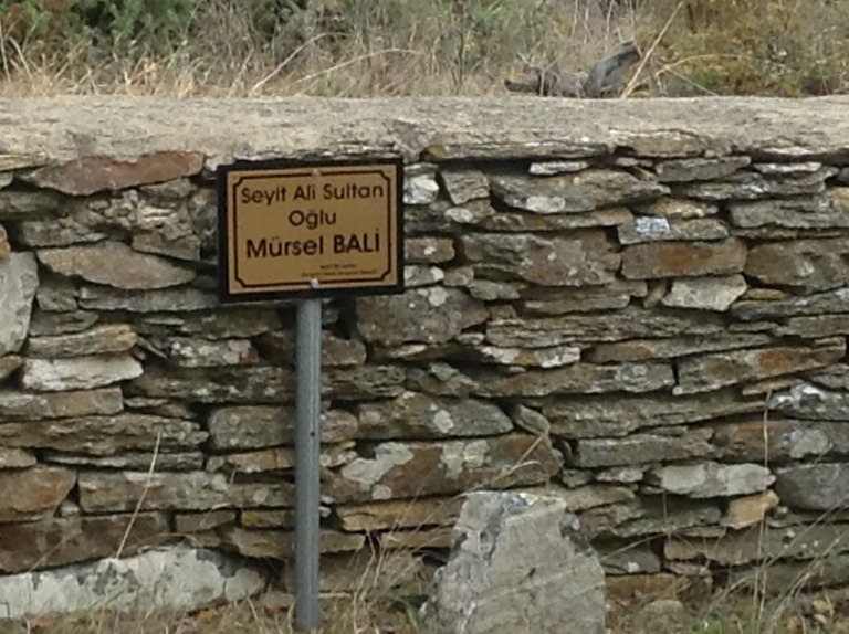 mursel bali.JPG